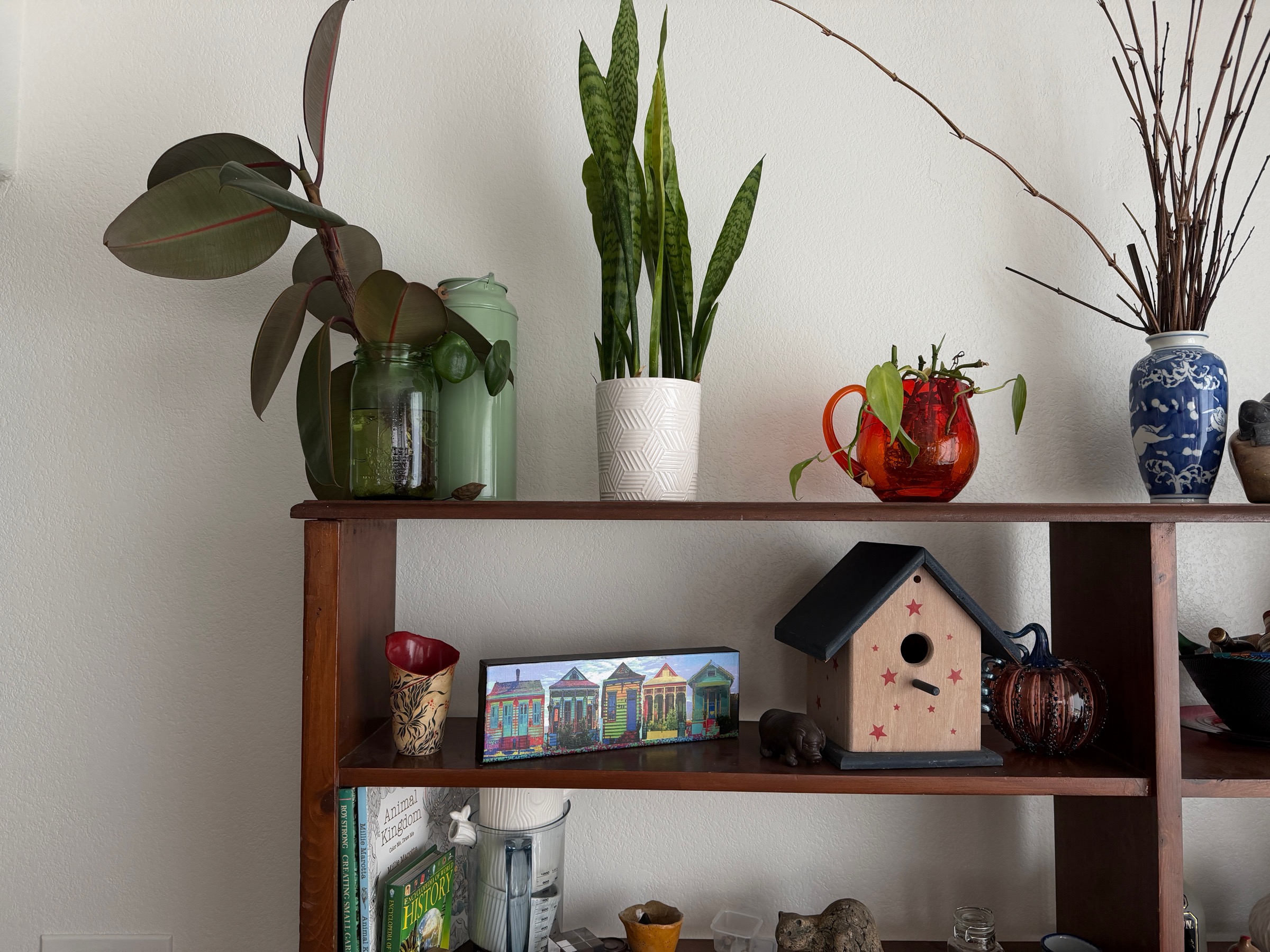 Shelf styled with a snake plant, ceramics, and found objects